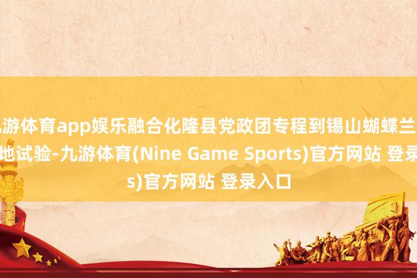 九游體育app娛樂融合化隆縣黨政團專程到錫山蝴蝶蘭坐蓐基地試驗-九游體育(Nine Game Sports)官方網站 登錄入口