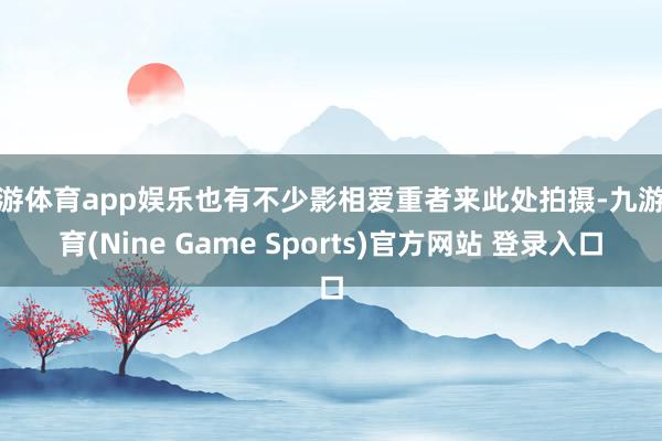 九游體育app娛樂也有不少影相愛重者來此處拍攝-九游體育(Nine Game Sports)官方網(wǎng)站 登錄入口